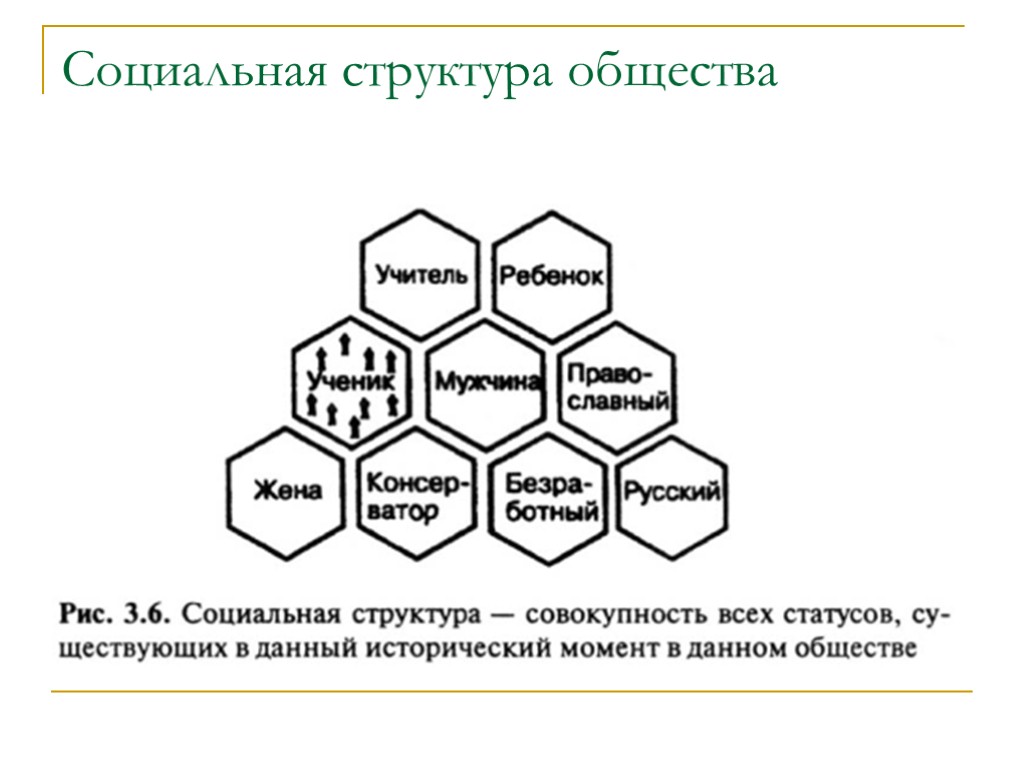 Социальная структура общества